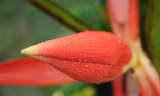 Ảnh minh họa: Internet