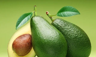 Ảnh minh hoạ: Internet