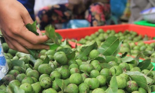 Ảnh minh hoạ: Internet