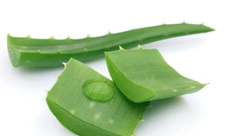 Ảnh minh hoạ: Internet