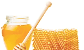 Ảnh minh hoạ: Internet