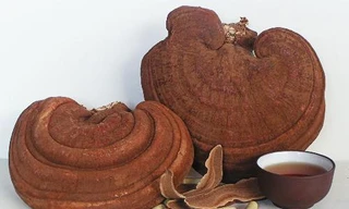 Ảnh minh hoạ: Internet