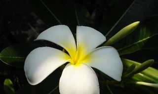 Ảnh minh họa: Internet