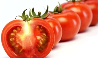 Ảnh minh họa: Internet