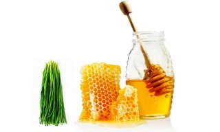 Ảnh minh hoạ: Internet