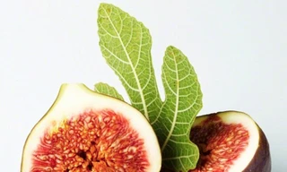 Ảnh minh hoạ: Internet