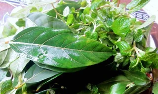 Ảnh minh hoạ: Internet