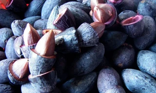 Ảnh minh hoạ: Internet