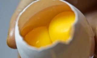 Ảnh minh họa: Internet