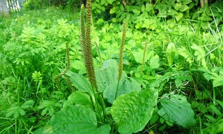 Ảnh minh hoạ: Internet