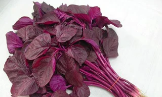 Ảnh minh hoạ: Internet