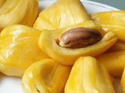 Ảnh minh họa: Internet