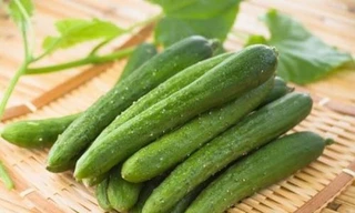 Ảnh minh hoạ: Internet