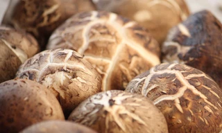 Ảnh minh họa: Internet