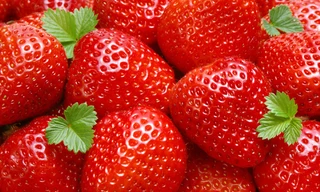 Ảnh minh hoạ: Internet