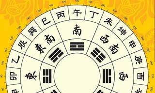 Ảnh minh hoạ: Internet