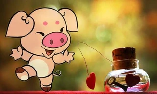 Ảnh minh họa: Internet