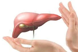 Ảnh minh hoạ: Internet