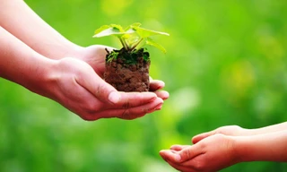 Ảnh minh hoạ: Internet