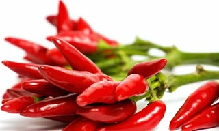 Ảnh minh họa: Internet