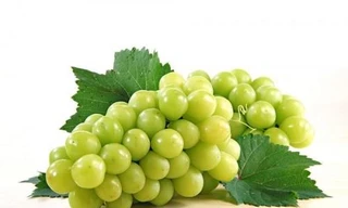 Ảnh minh hoạ: Internet