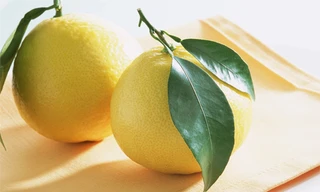 Ảnh minh hoạ: Internet