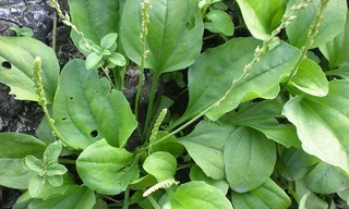 Ảnh minh hoạ: Internet