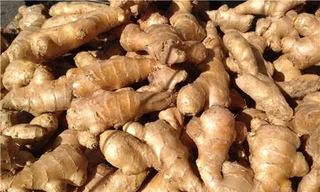 Ảnh minh hoạ: Internet