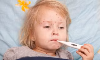 Ảnh minh hoạ: Internet