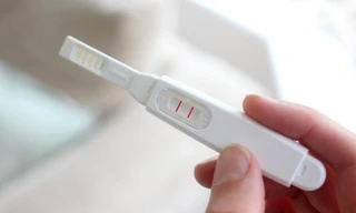 Ảnh minh hoạ: Internet