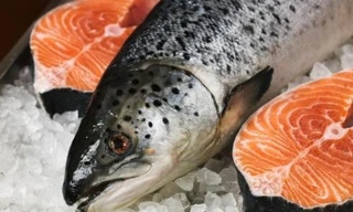 Ảnh minh hoạ: Internet