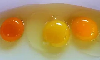 Ảnh minh hoạ: Internet