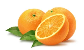 Ảnh minh hoạ: Internet