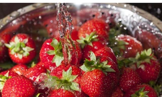 Ảnh minh hoạ: Internet