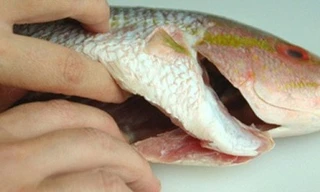 Ảnh minh hoạ: Internet