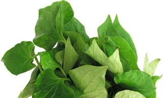 Ảnh minh hoạ: Internet