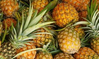 Ảnh minh hoạ: Internet