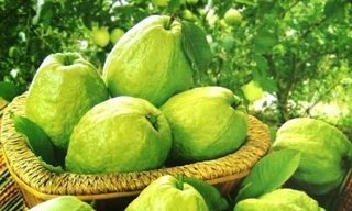 Ảnh minh họa: Internet