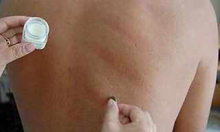 Ảnh minh hoạ: Internet