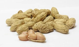 Ảnh minh hoạ: Internet