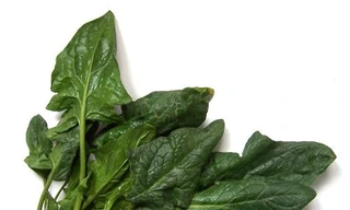 Ảnh minh hoạ: Internet