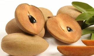 Ảnh minh hoạ: Internet