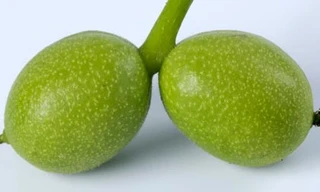 Ảnh minh hoạ: Internet