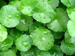 Ảnh minh hoạ: Internet