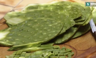 Ảnh minh hoạ: Internet