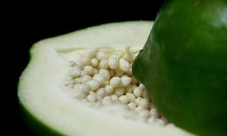 Ảnh minh hoạ: Internet