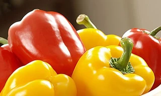 Ảnh minh hoạ: Internet