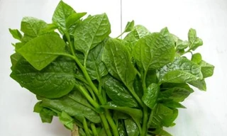 Ảnh minh họa: Internet