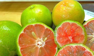 Ảnh minh hoạ: Internet