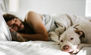 Ảnh minh hoạ: Internet